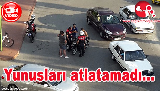 AKROBASİ HAREKETLER YAPARKEN YUNUSLARA YAKALANDI