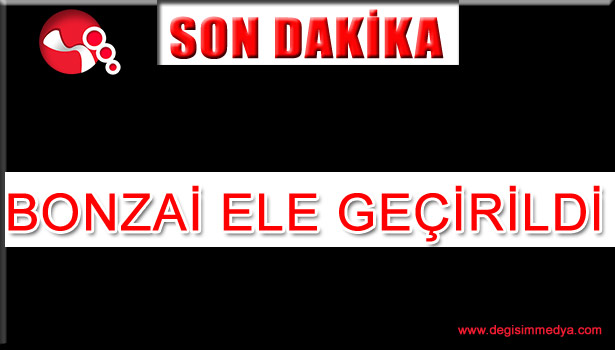 ALAPLI'DA 8 GRAM BONZAİ ELE GEÇİRİLDİ