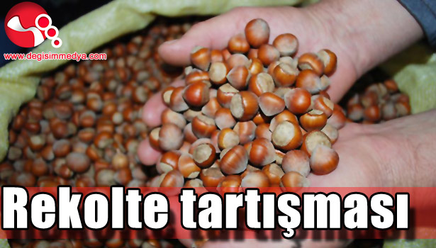 FINDIK TBMM GÜNDEMİNDE