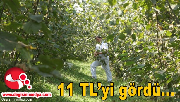 HASAT MEVSİMİ AÇILAN FINDIKTA SATIŞLAR 11 TL'Yİ GÖRDÜ