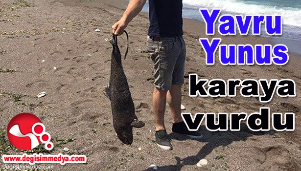 YAVRU YUNUS KARAYA VURDU...