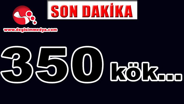 350 KÖK HİNT KENEVİRİ ELE GEÇİRDİ
