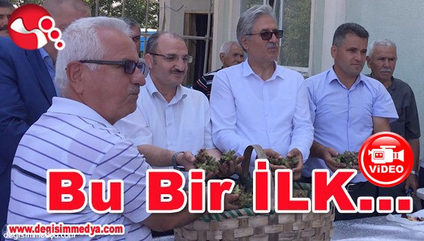 EREĞLİ'DE İLK FINDIK HASAT BAYRAMI!