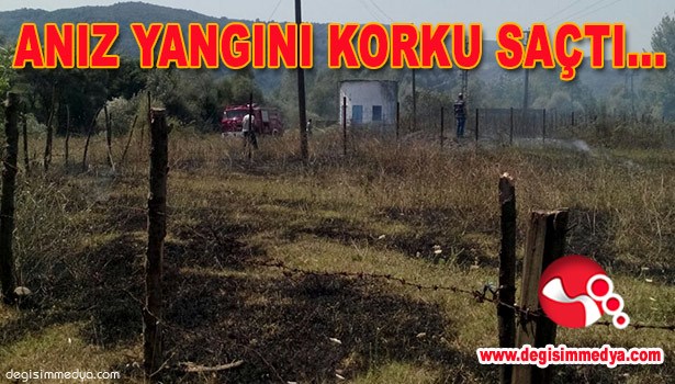 ANIZ YANGINI KORKU SAÇTI...