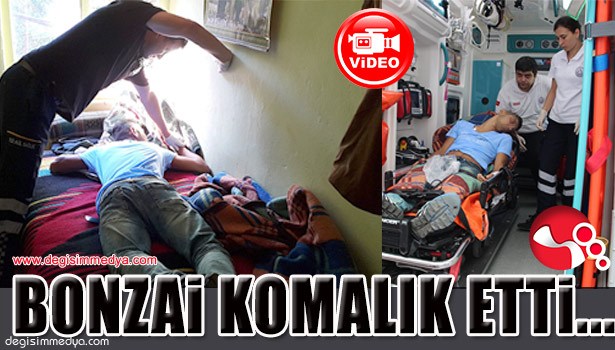 BONZAİ KULLANAN 3 GENÇ KOMAYA GİRDİ...