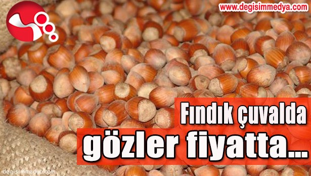 FINDIK ÇUVALDA, GÖZLER FİYATTA...