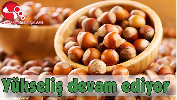 YÜKSELİŞ DEVAM EDİYOR...