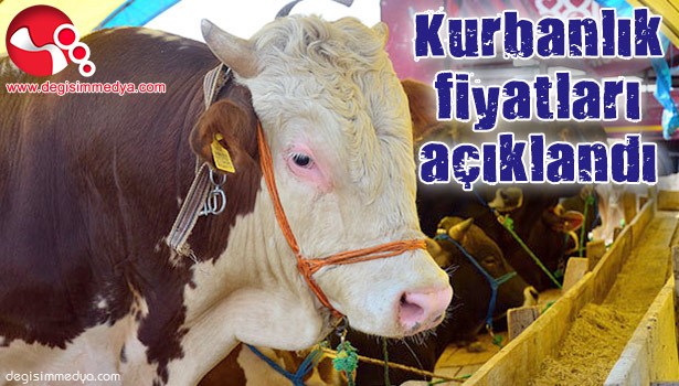 Kurbanlık fiyatları açıklandı