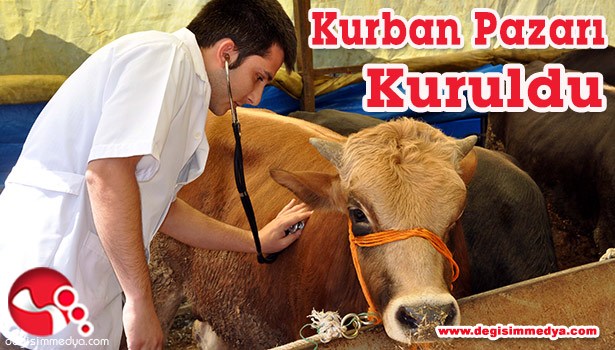 KURBAN PAZARI KURULDU