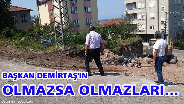 BAŞKAN DEMİRTAŞ'IN OLMAZSA OLMAZLARI...