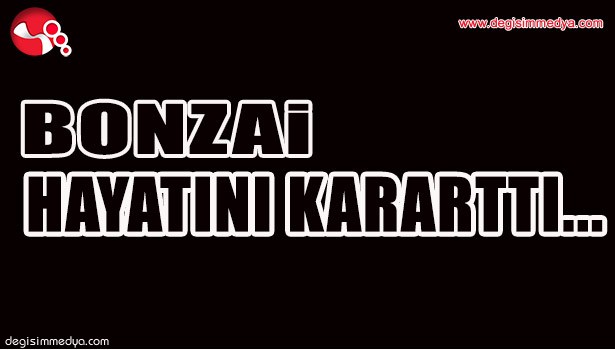 BONZAİ HAYATINI KARARTTI...