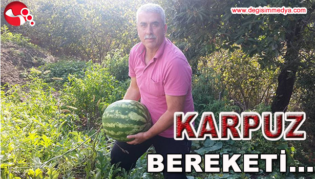 KARPUZ BEREKETİ...