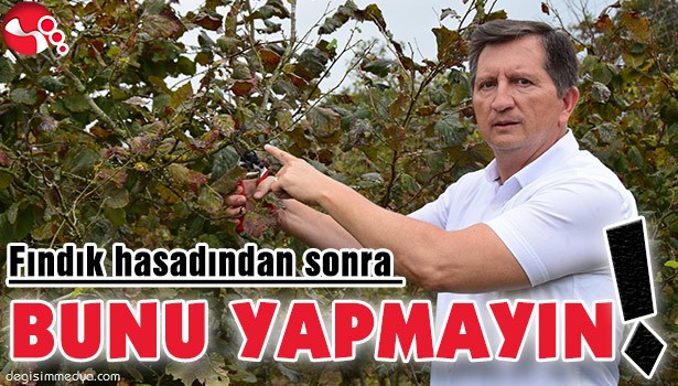 Fındık hasadından sonra bunu yapmayın!..