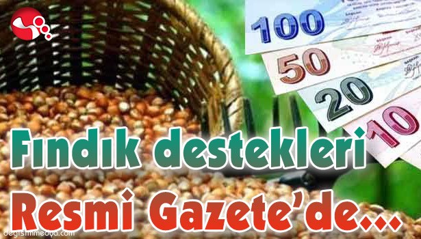 FINDIK DESTEKLERİ RESMİ GAZETE'DE...