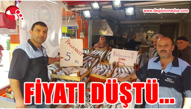 PALAMUDUN TANESİ 5 LİRAYA DÜŞTÜ