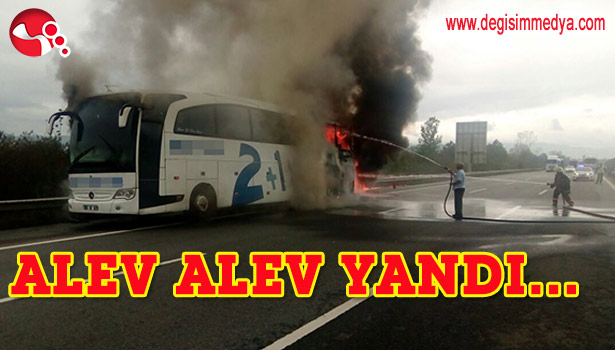ALEV ALEV YANDI...