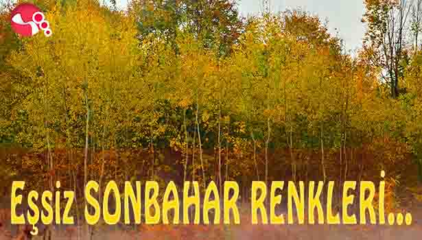 ZONGULDAK-EREĞLİ KARAYOLUNDA SONBAHAR RENKLERİ