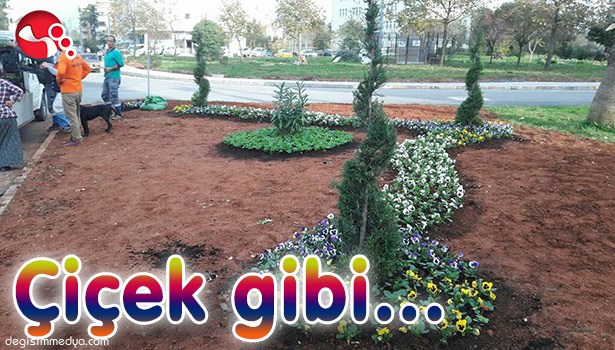ÇİÇEK GİBİ...