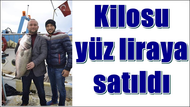 11 kiloluk levrek bin liraya satıldı