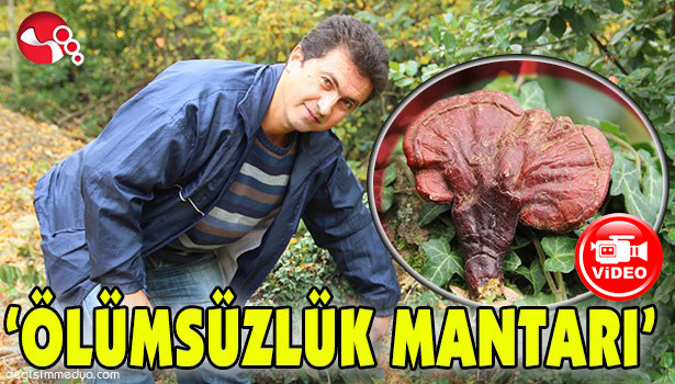 HER DERDE DEVA, KİLOSU BİN LİRA...