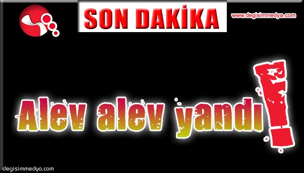 Alev alev yandı!..