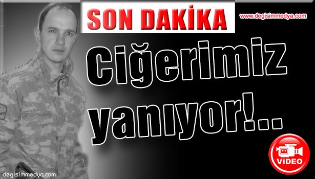 CİĞERİMİZ YANIYOR... ŞEHİTİMİZ VAR...