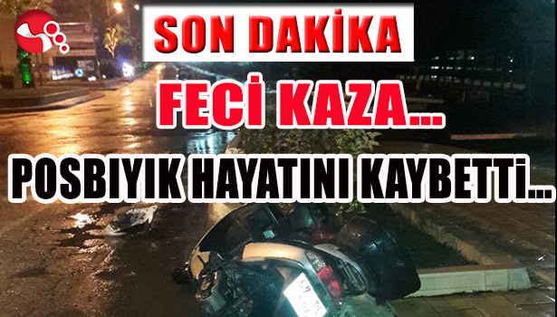 FECİ KAZA... POSBIYIK HAYATINI KAYBETTİ...