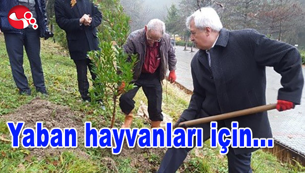 YABAN HAYVANLARI İÇİN...