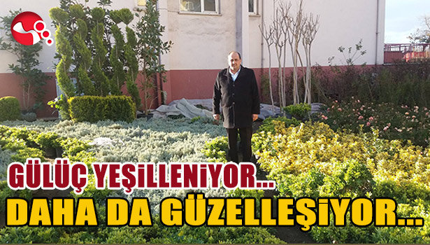 GÜÜÇ YEŞİLLENİYOR, DAHA DA GÜZELLEŞİYOR...