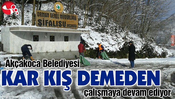 KAR KIŞ DEMEDEN...