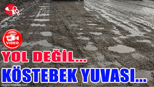 YOL DEĞİL... KÖSTEBEK YUVASI...