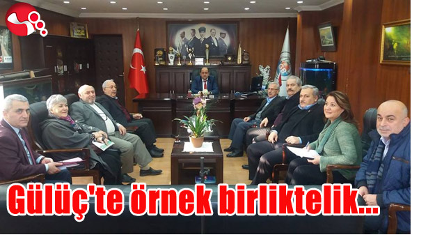 GÜLÜÇ'TE ÖRNEK BİRLİKTELİK...