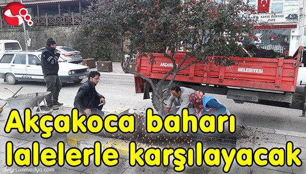Akçakoca baharı lalelerle karşılayacak