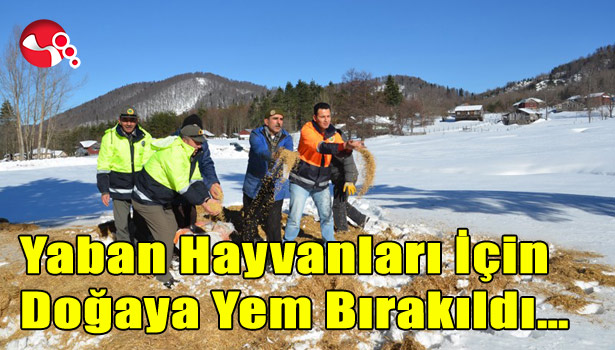 YABAN HAYVANLARI İÇİN DOĞAYA YEM BIRAKILDI...