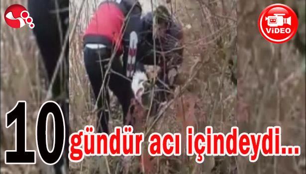 10 GÜNDÜR ACI İÇİNDEYDİ...
