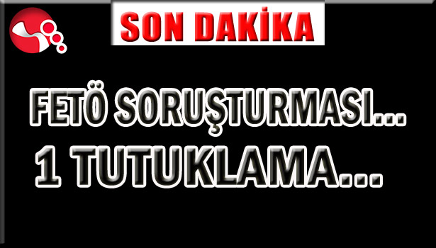 FETÖ SORUŞTURMASI... 1 TUTUKLAMA...