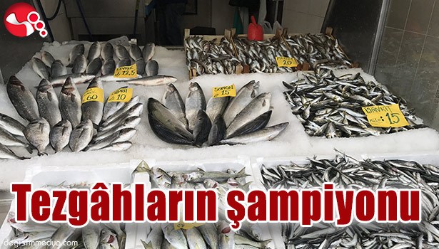 TEZGÂHLARIN ŞAMPİYONU