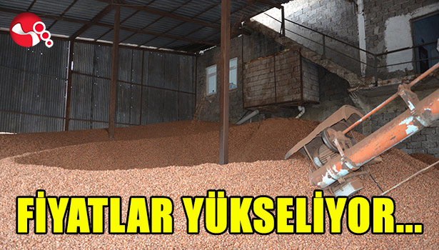 FİYAT YÜKSELİYOR...
