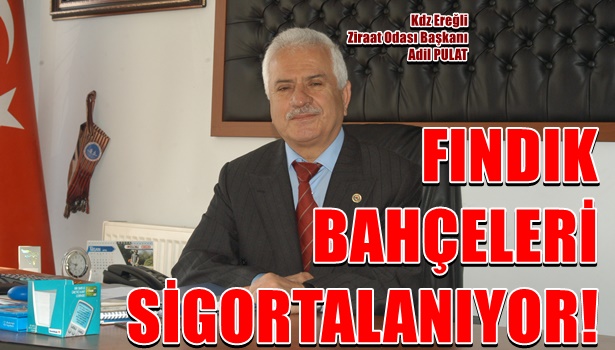 Fındık bahçeleri sigortalanıyor!