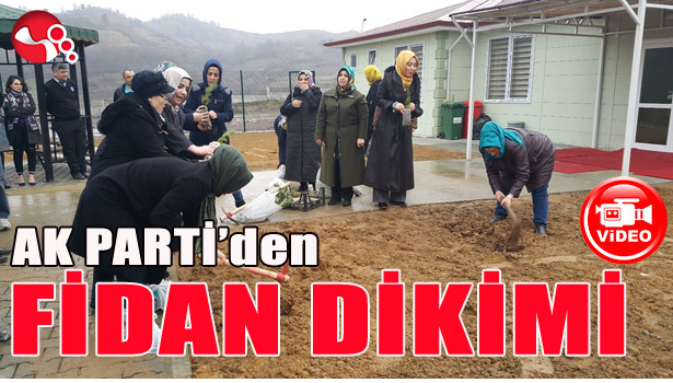 AK PARTİ'den FİDAN DİKİMİ...