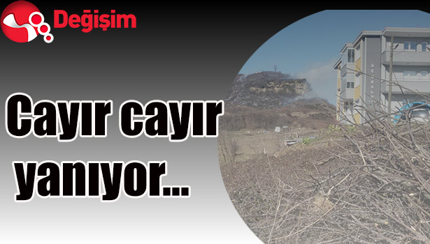 Cayır cayır yanıyor...