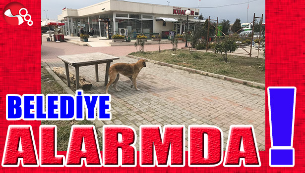 Belediye ALARMDA!...