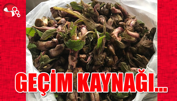 Geçim kaynağı...