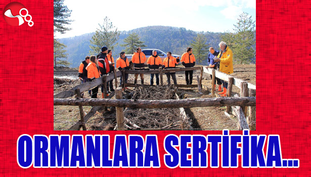 ORMANLARA SERTİFİKA...