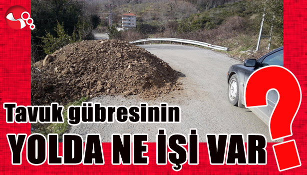 Tavuk gübresinin YOLDA NE İŞİ VAR??