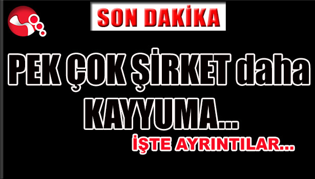 PEK ÇOK ŞİRKET DAHA KAYYUMA!... İŞTE AYRINTILAR...