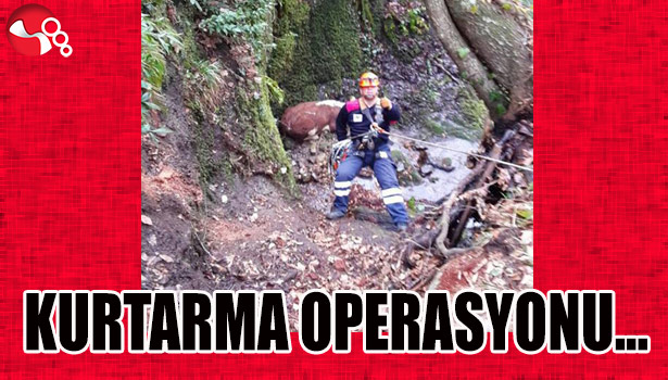 KURTARMA OPERASYONU...