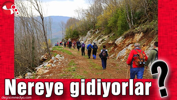 NEREYE GİDİYORLAR?