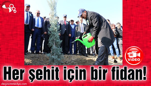 HER ŞEHİT İÇİN BİR FİDAN!