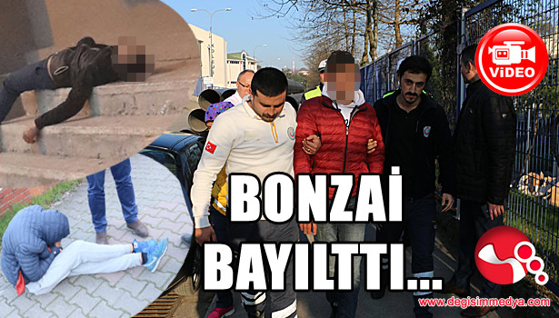 2 GÜNDE 3 BONZAİ VAKASI...